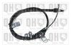QH_BC3983.JPG