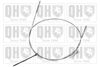 QH_BC562.JPG