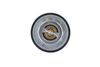 205_725213.ZIP
