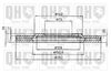 QH_BDC3335_1.JPG