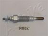 PM62_1.JPG