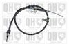 QH_BC3987.JPG