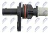 ECP-CH-034_3-WM.JPG