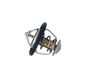 Termostat, chladivo 725174