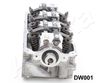 DW001_2.JPG
