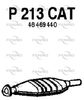 P213CAT.JPG