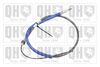 QH_BC3573.JPG