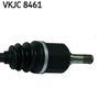 VKJC 8461_3.JPG