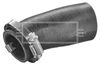 BTH1530_1214546.JPG