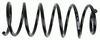 0032994462.JPG
