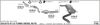 524000456.BMP