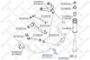 биалета