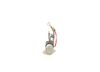 30_1 337 210 804.ZIP