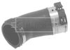 BTH1172_222325.JPG