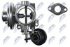 EGR-AU-003_2-WM.JPG