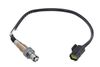 LAMBDA SENSOR_368493_01.JPG