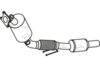 P8385CAT_1.PNG