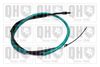QH_BC3962.JPG