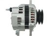 95237.JPG
