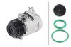 366203831_ACCESSOR_TD_1.JPG