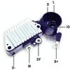 DDF_AMP0826_WR.JPG