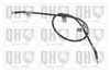 QH_BC3105.JPG