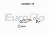 ecvw5031ta.JPG