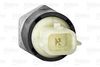 SENSOR_OIL_PRESSURE_255107_03.JPG