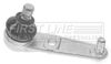 FBJ5302_206744.JPG