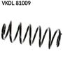 VKDL 81009.JPG