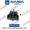 R213A.JPG