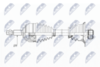NPW-RE-153_9-WM.PNG