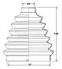 BCB6213_292426.JPG