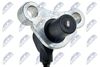 HCA-MS-005_2-WM.JPG