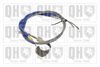 QH_BC2589.JPG