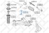 биалета