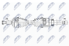 NPW-RE-169_9-WM.PNG