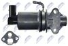 EGR-AU-009_4-WM.JPG
