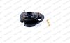 MK259L_2997989.JPG