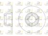 6008-00-MODEL.BMP