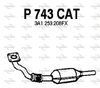 P743CAT.JPG