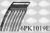 6PK1019E.JPG