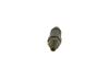 Bosch Nozzle and Holder Assembly 9 430 610 006