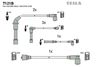 T121B.BMP