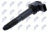 ECZ-VW-028_1-WM.JPG