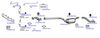 OP-EXSFO248_20260529081416.JPG