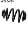 VKDL 36029.JPG