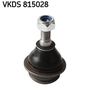 VKDS 815028.JPG