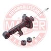 313835-PCS-MS.JPG