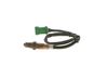 0258006027PH07WHCO0000.JPG
